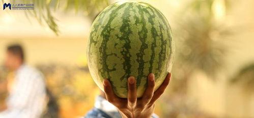 2021娱乐圈吃瓜,瓜田李下，明星们的年度“瓜”事盘点